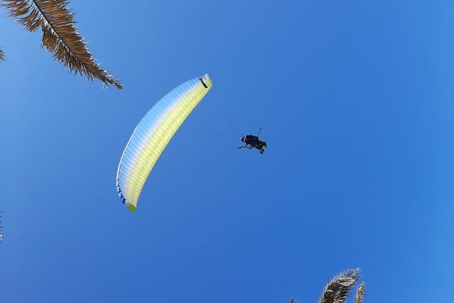 Paraglidng In Cape Town - Photo 1 of 2